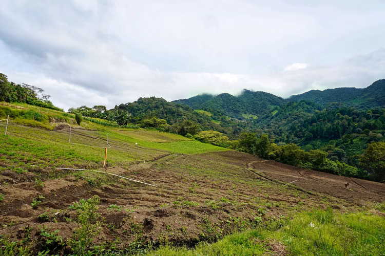 Terreno de Montaña en Boquete Panamá - Imagen 5