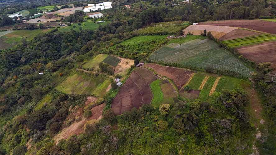 Terreno de Montaña en Boquete Panamá - Imagen 8