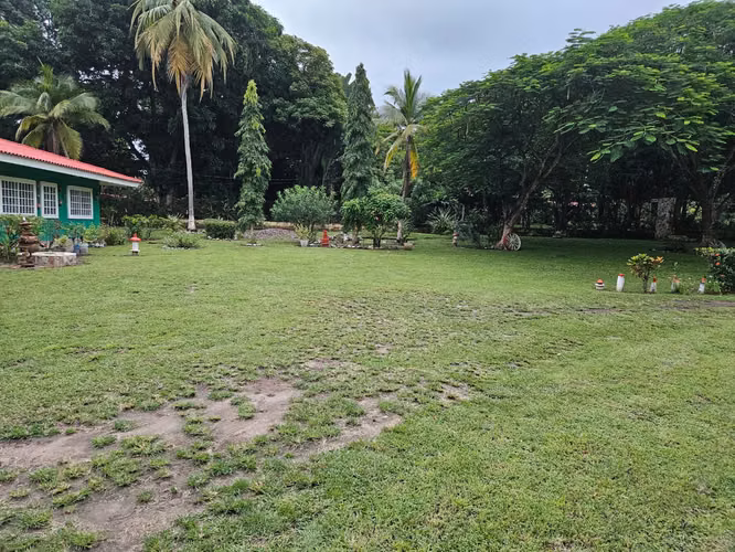 FINCA EN ALQUILER EN NUEVA GORGONA - Imagen 4