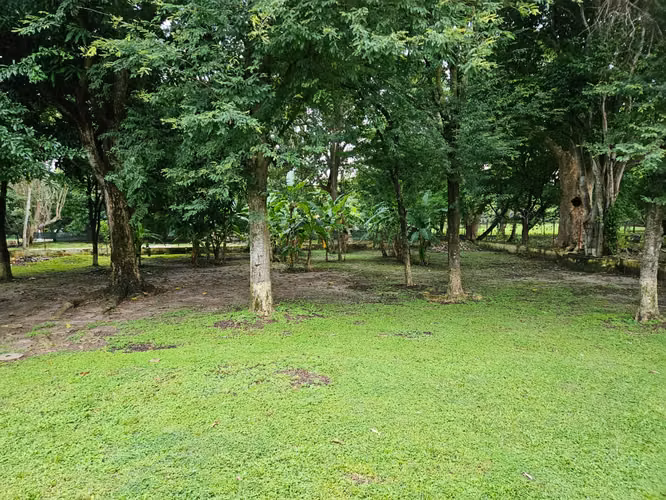 FINCA EN ALQUILER EN NUEVA GORGONA - Imagen 7