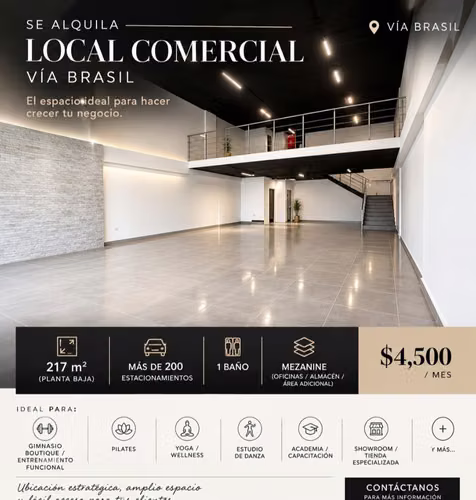 ALQUILO 2 LOCALES $4500 Y $2500 EN VIA BRASIL SOBRE LA VIA PRINCIAL A LA VISTA PUBLICA