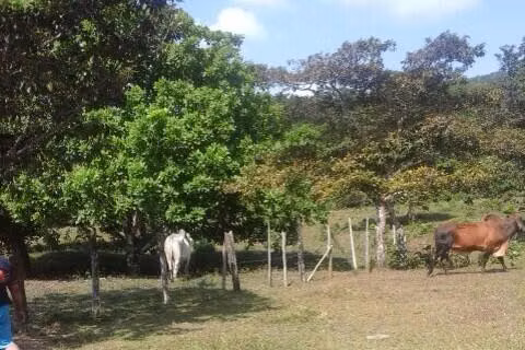 SE VENDE TERRENO EN LAS MARGARITAS MDV24-7755 - Imagen 4