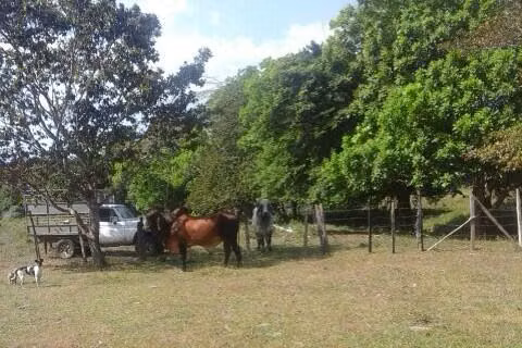 SE VENDE TERRENO EN LAS MARGARITAS MDV24-7755 - Imagen 3