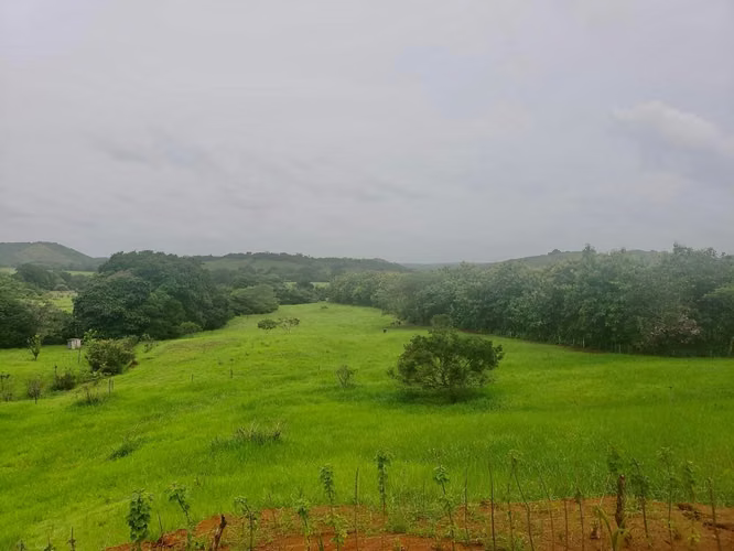 SE VENDE TERRENO EN CHITRÉ MDV - Imagen 11