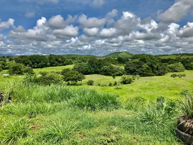 SE VENDE TERRENO EN CHITRÉ MDV - Imagen 2