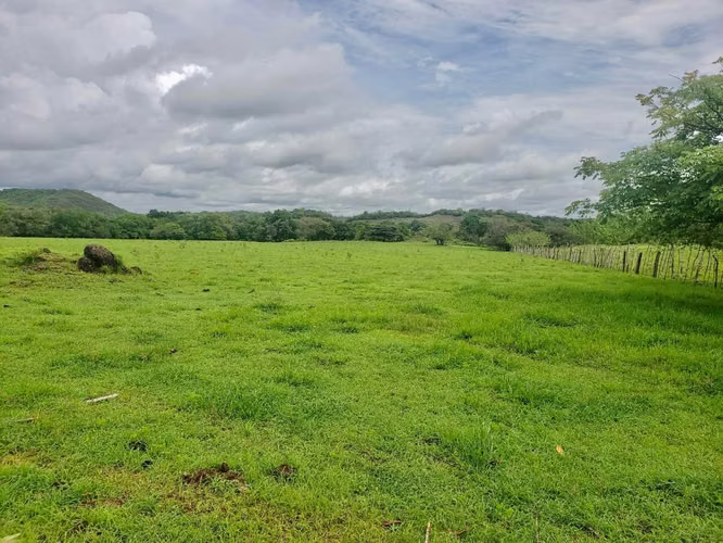 SE VENDE TERRENO EN CHITRÉ MDV - Imagen 7