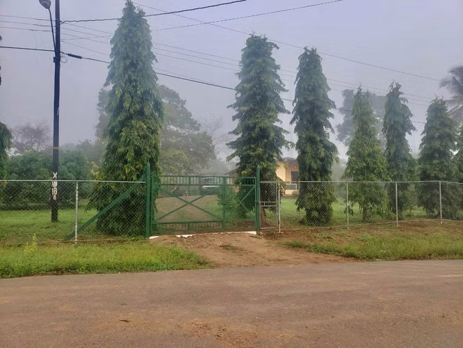 SE VENDE TERRENO EN CHITRÉ MDV - Imagen 5