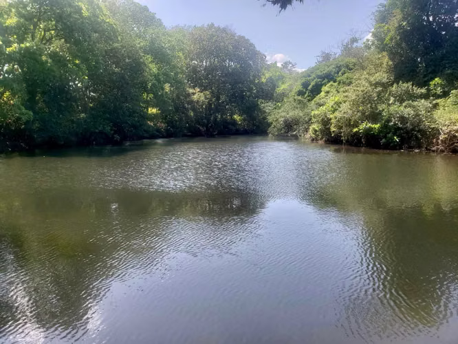 SE VENDE TERRENO EN CHITRÉ MDV - Imagen 3