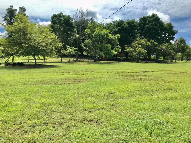 SE VENDE TERRENO EN CHITRÉ MDV - Imagen 14