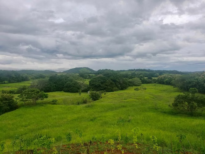 SE VENDE TERRENO EN CHITRÉ MDV - Imagen 4