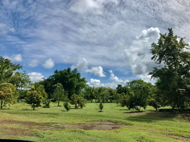 SE VENDE TERRENO EN CHITRÉ MDV - Imagen 15