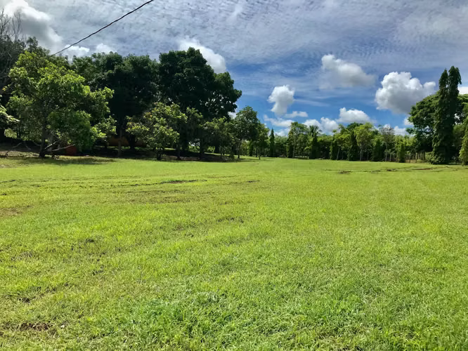 SE VENDE TERRENO EN CHITRÉ MDV - Imagen 13