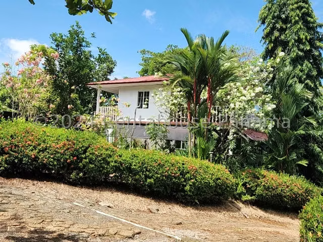 Vendo Finca con Casa duplex de montaña  con abundante biodiversidad, Mariato en Veraguas, 
