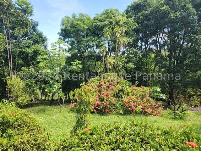 Vendo Finca con Casa duplex de montaña  con abundante biodiversidad, Mariato en Veraguas, 