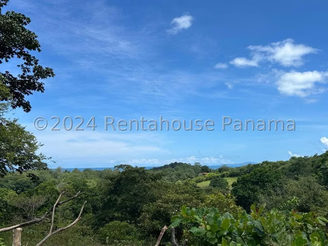 Vendo Finca con Casa duplex de montaña  con abundante biodiversidad, Mariato en Veraguas, 