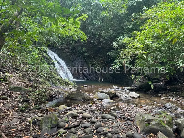 Vendo Finca con Casa duplex de montaña  con abundante biodiversidad, Mariato en Veraguas, 