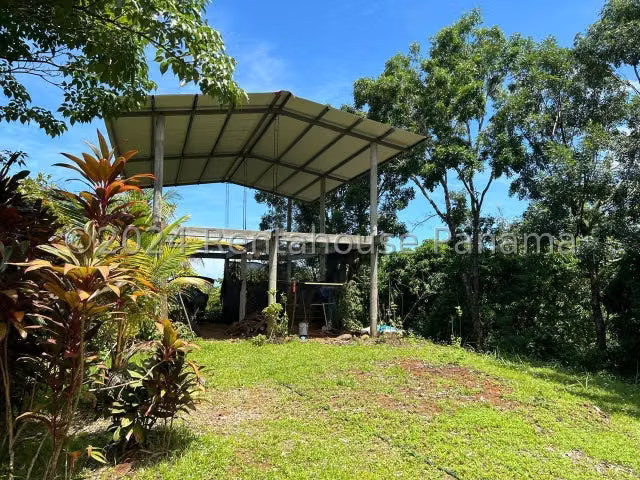 Vendo Finca con Casa duplex de montaña  con abundante biodiversidad, Mariato en Veraguas, 