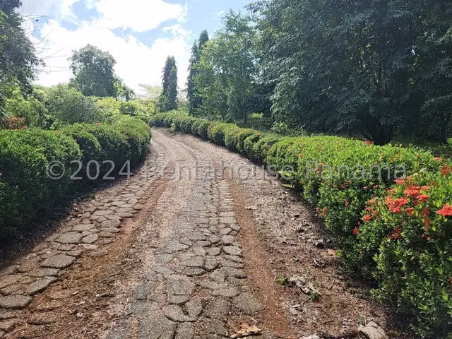 Vendo Finca con Casa duplex de montaña  con abundante biodiversidad, Mariato en Veraguas, 