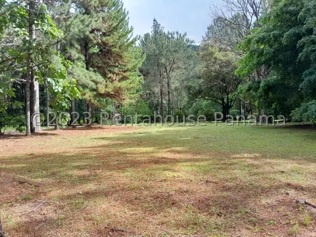 Venta lote de montaña en Altos del Maria, Sora, Panamá (a orilla de calle, plano )