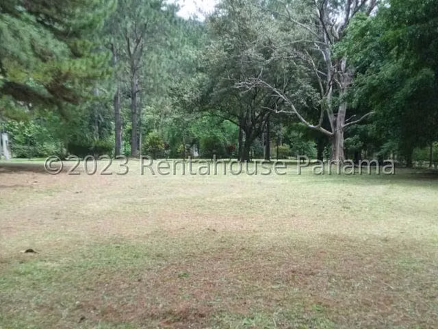 Sale mountain lot in Altos del Maria, Sora, Panama (on the street, plane)