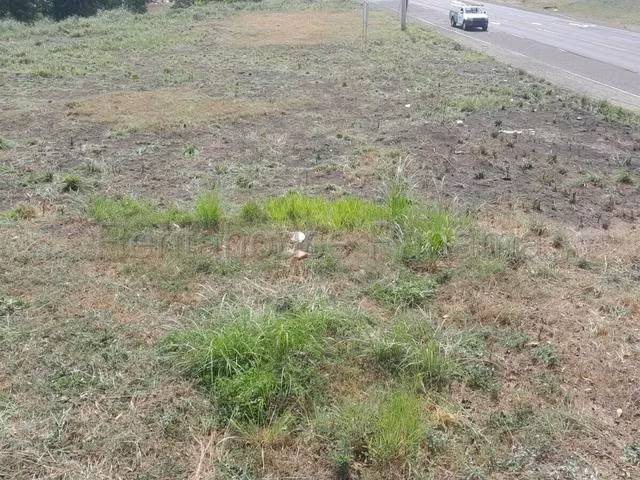 Venta conveniente y centrico terreno a orilla de la via principal en Buena Vista, Colón  - Imagen 4