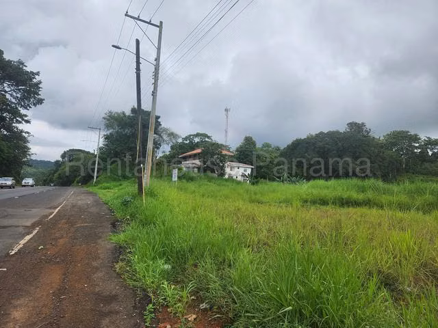Venta conveniente y centrico terreno a orilla de la via principal en Buena Vista, Colón  - Imagen 6
