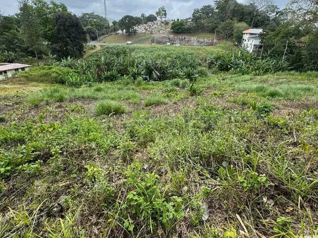 Venta conveniente y centrico terreno a orilla de la via principal en Buena Vista, Colón  - Imagen 5