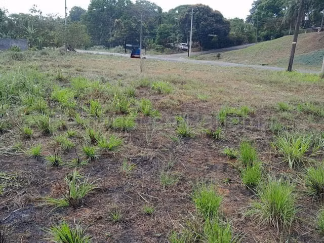 Venta conveniente y centrico terreno a orilla de la via principal en Buena Vista, Colón  - Imagen 3