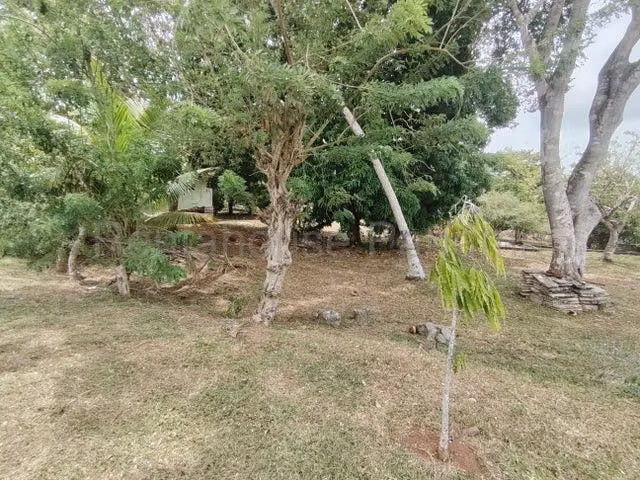 Venta lote con casa centrico y esquina, La Chorrera, Panamá conveniente ubicación - Imagen 6