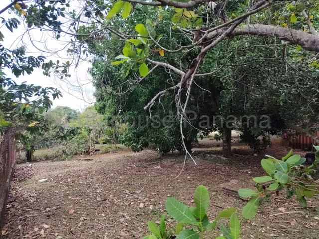 Venta lote con casa centrico y esquina, La Chorrera, Panamá conveniente ubicación - Imagen 5