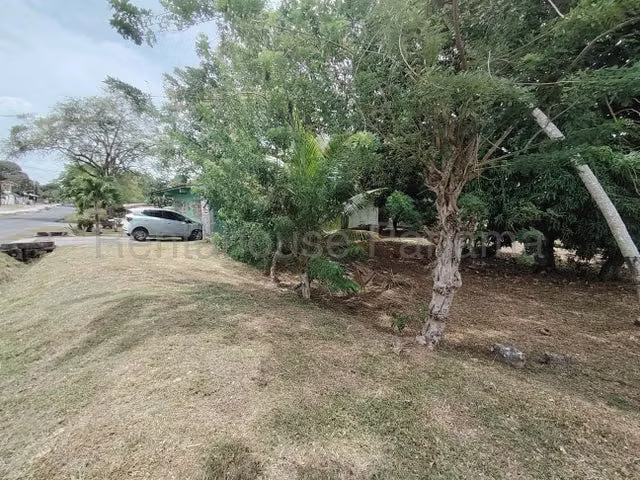Venta lote con casa centrico y esquina, La Chorrera, Panamá conveniente ubicación - Imagen 4