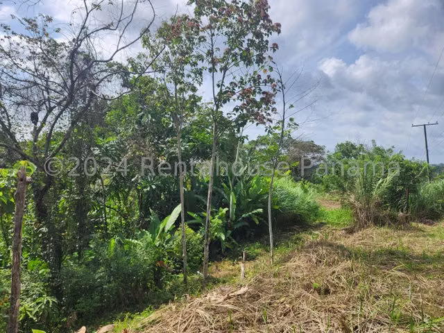 Vendo terreno campestre orilla decalle Escobal, Colón en las cercanias del Lago 