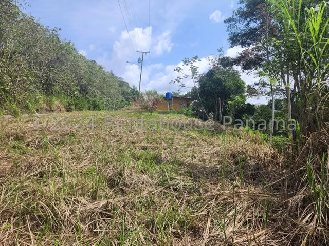 Vendo terreno campestre orilla decalle Escobal, Colón en las cercanias del Lago 