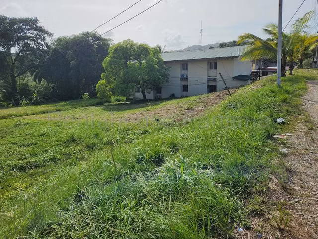 Venta Terreno residencial orilla de calle en Pilon , Colón