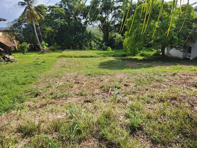 Venta Terreno residencial orilla de calle en Pilon , Colón