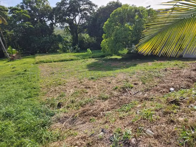Venta Terreno residencial orilla de calle en Pilon , Colón