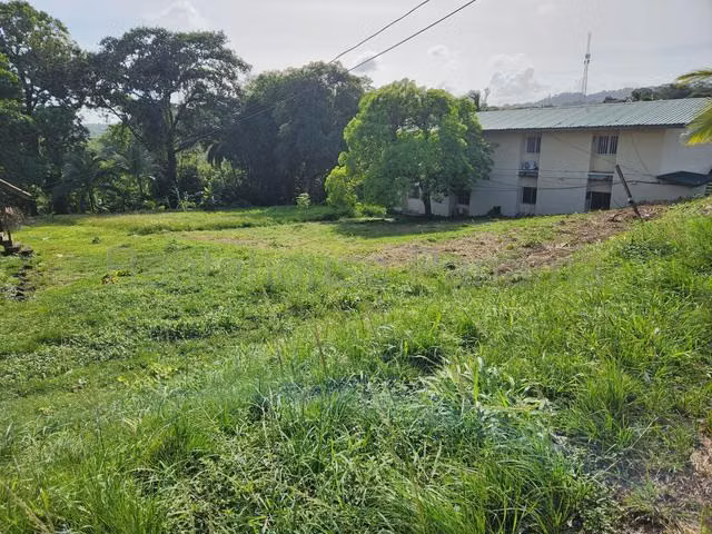 Venta Terreno residencial orilla de calle en Pilon , Colón