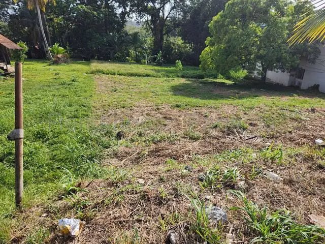 Venta Terreno residencial orilla de calle en Pilon , Colón