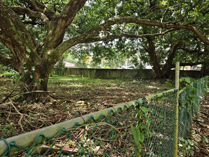 Se Vende Terreno en Amador 