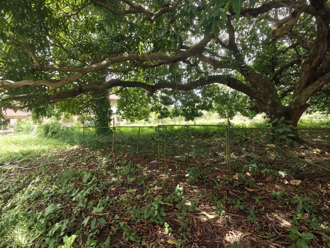 Se Vende Terreno en Amador 