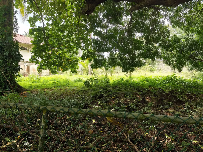 Se Vende Terreno en Amador 