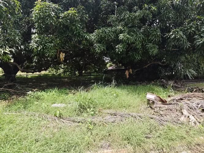 Se Vende Terreno en Amador 