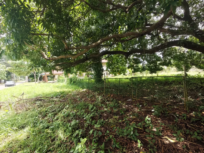 Se Vende Terreno en Amador 