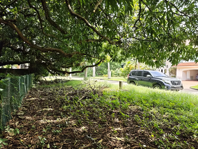 Se Vende Terreno en Amador 