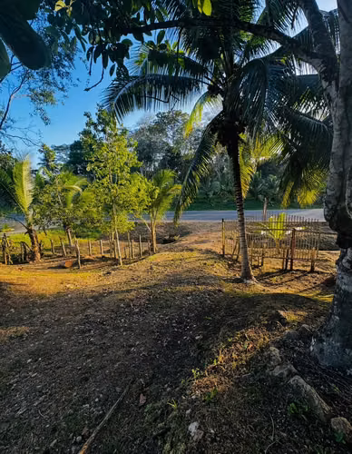 Se vende GANGA !!! terreno frente  carretera panamericana - Imagen 6