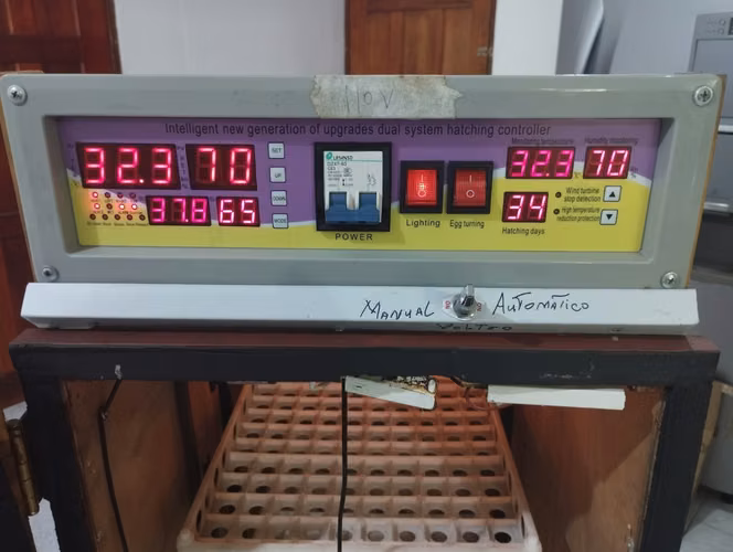 Incubadora automatica  - Imagen 1