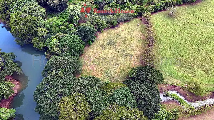 Finca En Venta En Chitré YS - Imagen 6