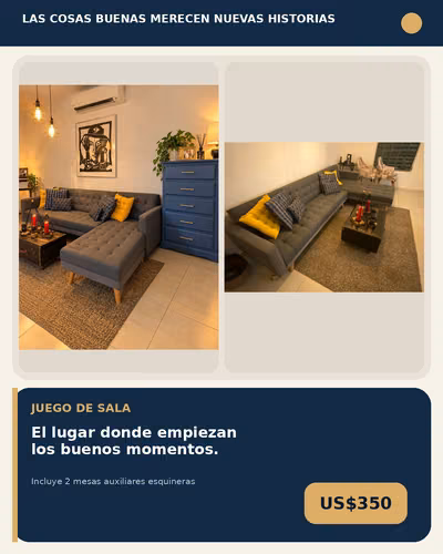 Gran venta de patio por mudanza