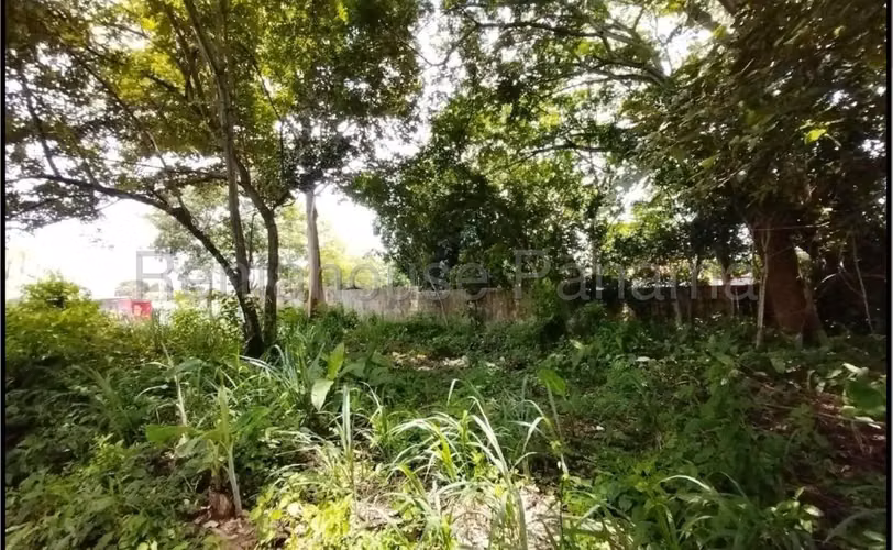 Venta de Terreno en Chame Cabecera Villas Campestres 7,656.43 Mts PD - Imagen 5