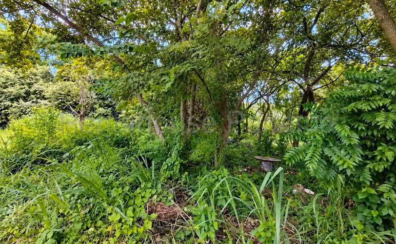 Venta de Terreno en Chame Cabecera Villas Campestres 7,656.43 Mts PD - Imagen 4